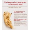 JUNGWONSAM 6-Year-Old Korean Red Ginseng Extract 365 Stick