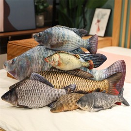 champracer Simulation Crucian Carp Plush Toy Carp Throw Cushion Doll Cushion, A Gift for Fishing Enthusiasts (Tilapia, 30 cm)