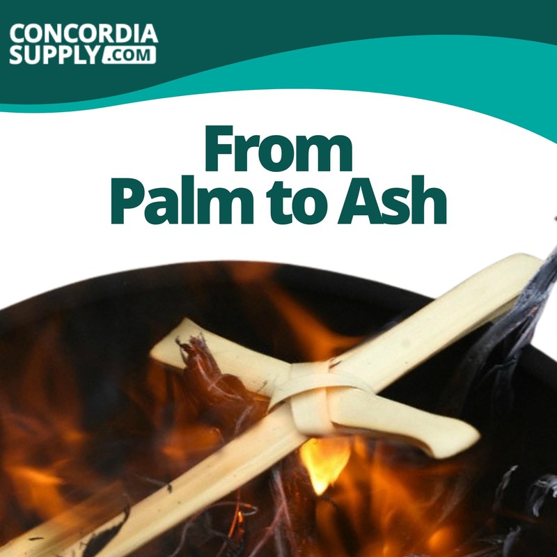 Concordia Supply Palm Ashes - Easy to Distribute, Pure Ash