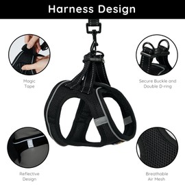 BELLA & PAL Dog Harness for Small Dogs with Lead, Step-in Harness, Made of Air Mesh, Anti-Pull, Reflective, Breathable Chest Harness, Puppy Harness, Cat Harness, Black, XS
