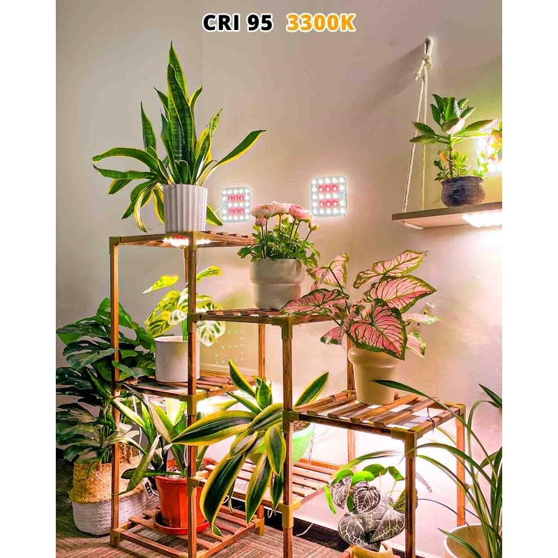 DOMMIA Plant Growing Light, Warm White Dimmable Plant Growing Light