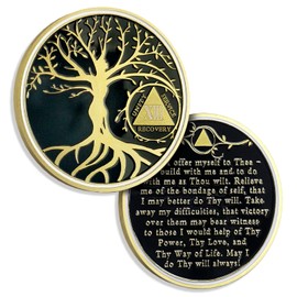 13 Years Sobriety Chip Tree of Life AA Coins and Medallion Alcoholics Anonymous Coin Recovery Anniversary Token Sobriety Gifts for Women Men