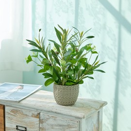 Ainuowei 12.8'' Artificial Olive Branches with Grenn Eucalyptus Faux Plant with Lifelike Olives in Gray Luxury Woven Stripe Cement Planter Fake Plant for Home Office Decor Indoor Outdoor