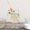 Creative Co-Op Glass Hobnail Stemmed Drinking Glass, Clear, Set of