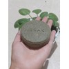 Shampoo Sólido Natural de Romero y Menta, 100g, Fortalece y
