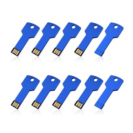 RAOYI 10 Pack 4GB USB Flash Drive USB 2.0 Metal Key Shape Memory Stick Thumb Drive Pen Drive-Blue