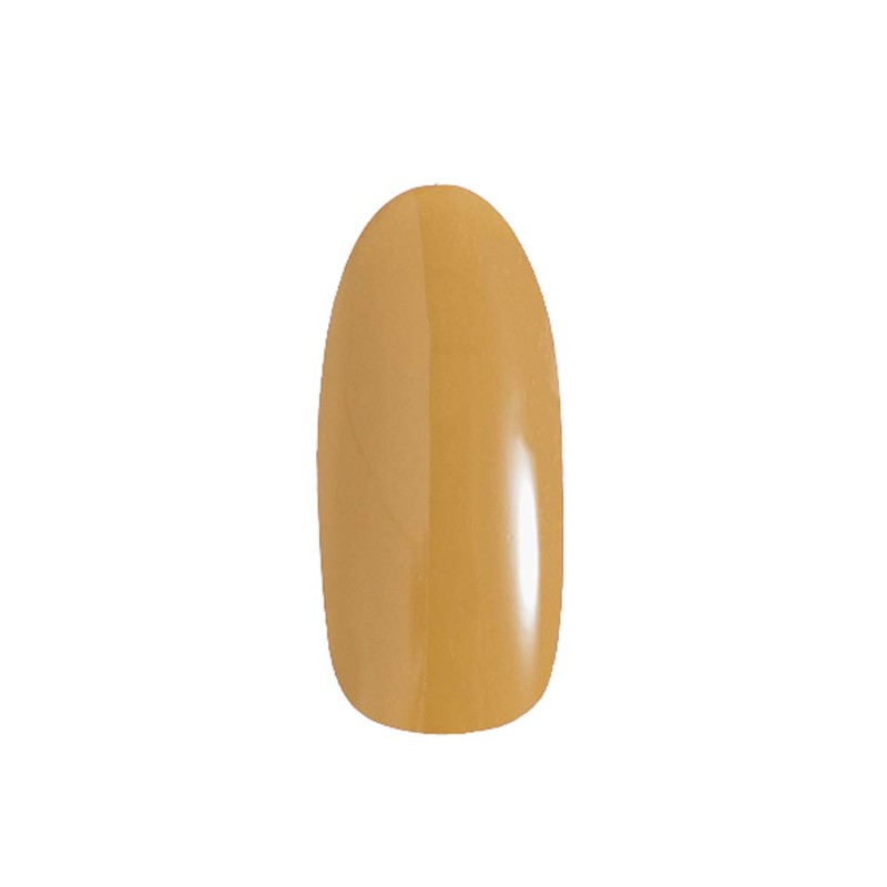 PRE GEL (プリジェル) Color EX Pumpkin Tart 3g PG-CE909, UV/LED