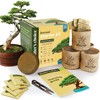 Bonsai Starter Kit - Gardening Easter Gift for Women &