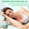 EVOKE OCCU Pine Essential Oil for Home Diffuser Fragrance DIY