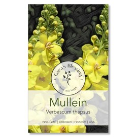 Gaea's Blessing Seeds - Mullein Seeds - Non-GMO Herb Seeds with Easy to Follow Instructions, Heirloom, Open-Pollinated, Untreated