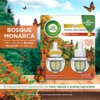 Air Wick® Repuestos Para Aromatizante De Ambiente Continuo, Aroma Bosque