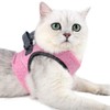 Cat Harness Leash Straps Soft and Comfortable Cat Walking Jacket