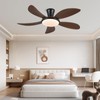PHORUS Low Profile Ceiling Fans with Lights and Remote/APP,48 Inch