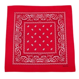 FANNI YOUPIN 100% Cotton Bandanas/Fashion Scarf for Men & Women Paisley printed Large 10pcs (Red)