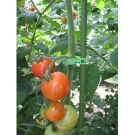 Seam Attracting Material 11-24P (Green) Green