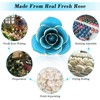 24k Gold Dipped Real Blue Rose 11-12 Inches Long with