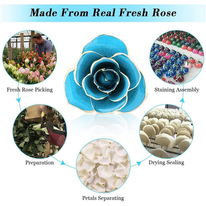 24k Gold Dipped Real Blue Rose 11-12 Inches Long with