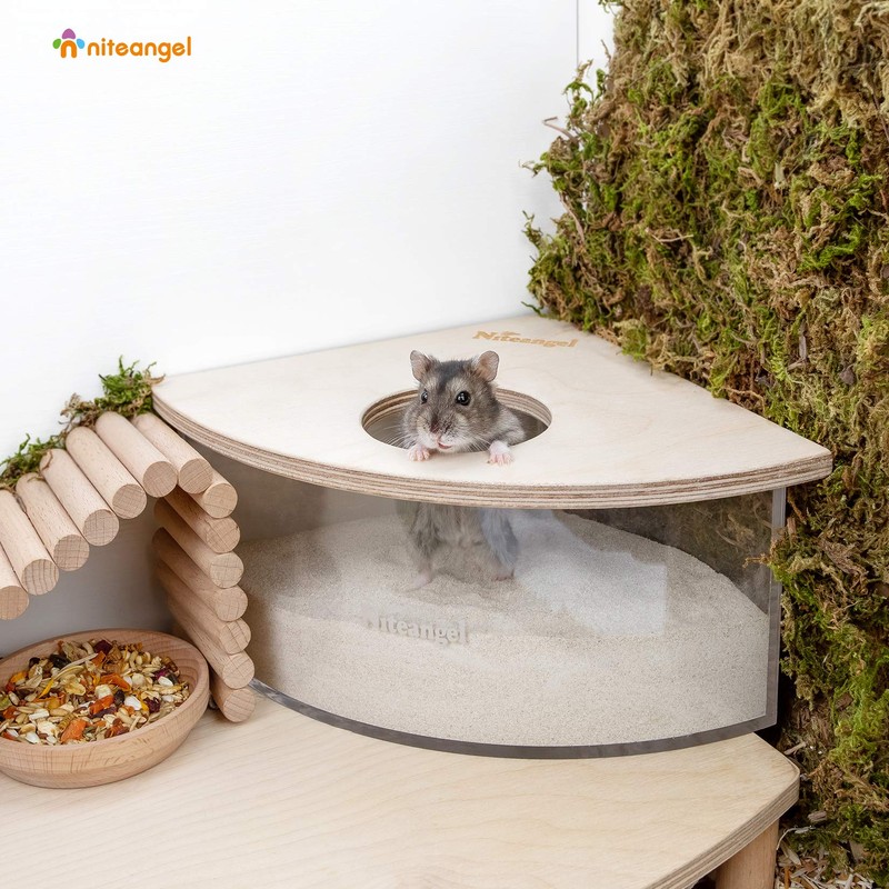 Niteangel Animal Sand-Bath Box: - Acrylic Critter's Sand Bath Shower