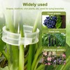 SANHIGHEND Plastic Plant Clips, Make Your Plants Tidy and Beautiful