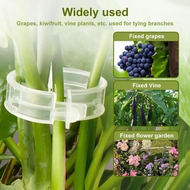 SANHIGHEND Plastic Plant Clips, Make Your Plants Tidy and Beautiful (200, White (A))
