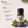 Calmer Solutions Clove Leaf Essential Aromatherapy Oil 10ml