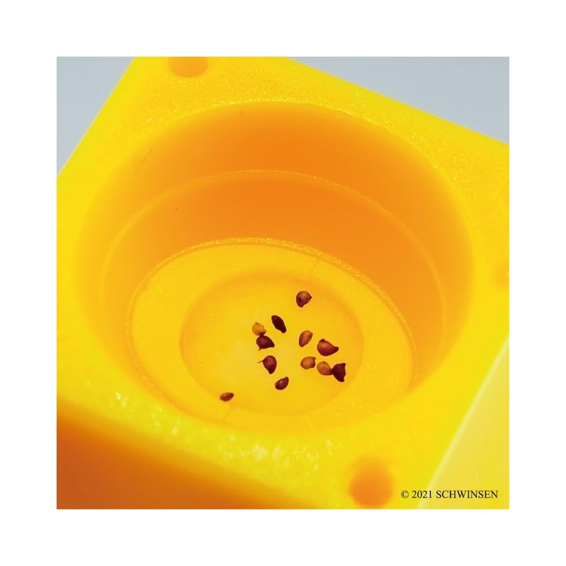 Indoor Growing Kit, Strawberry, Easy Growing Set, Growing with Plastic