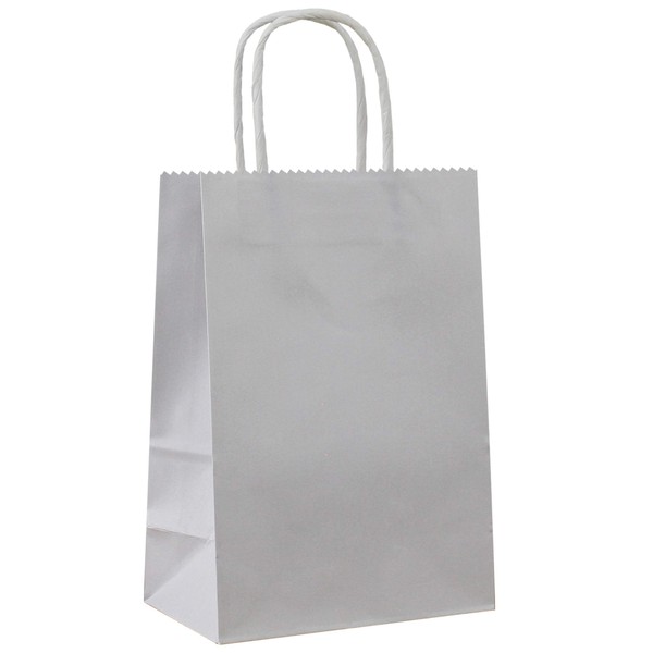 ADIDO EVA 25 PCS Small Gift Bags Flat Gray Kraft Paper Bags with Handles for Party Favor (8.2 x 6 x 3.1 In)