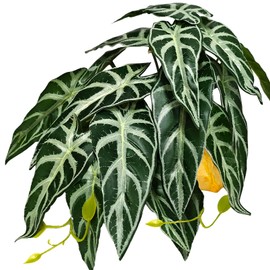 Woyrise Reptile Plants for Terrarium Decor, Ball Python Tank Accessories fit Bearded Dragon Crested Leopard Gecko Lizard Chameleon Snake Frog Tortoise Hermit Crab - Fake Alocasia Black Velvet