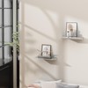 Danpoo Adhesive Floating Shelves for Wall Storage, Metal Wall Shelves,