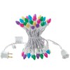 Solduce Easter String Lights LED Multi Color Glass C3 Lights
