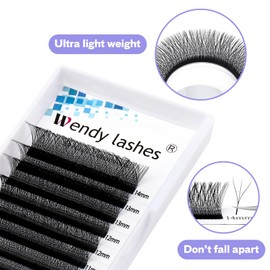 W Lash Extensions 3D Premade Fans Volume Lashes Mix8-14 0.07mm C Curl W-Shaped Lashes Refine the Roots of the Lashes and Extend 3 Tips Eyelash Extensions(W-0.07-C-814)