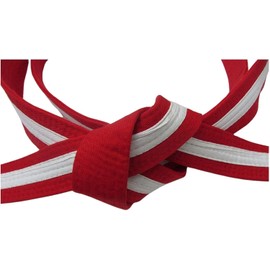 SHIHAN POWER SPORTS Karate Belt Cotton Red 1 White Stripe 260cm For Men/Women Karate,Styles Of Martial Arts, Shotokan