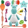 Kapetgo 10 Pack Dog Toys Puppy Toys from 8 Weeks