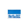 Hoisting Flag Hertha BSC Logo 120 x 180 cm Landscape