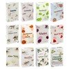 Stamford 37367 Floral Variety Set Incense Cones-12 Packs x 15