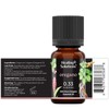 Healing Solutions Oregano Essential Oil - 0.33 Fluid Ounces