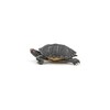 PAPO - Realistic Florida Turtle Figure - Ages 3+ -