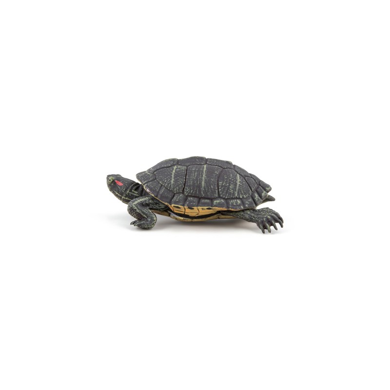 PAPO - Realistic Florida Turtle Figure - Ages 3+ -