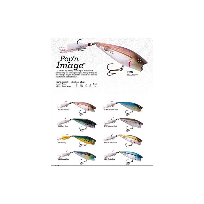 Heddon Pop'n Image Lure (Tennessee Shad, 3-Inch)