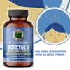 Pure Lab Vitamin | Slow Release Bioactive B Complex |