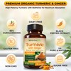 Turmeric with Ginger Root Joint Support Supplement | Turmeric Curcumin