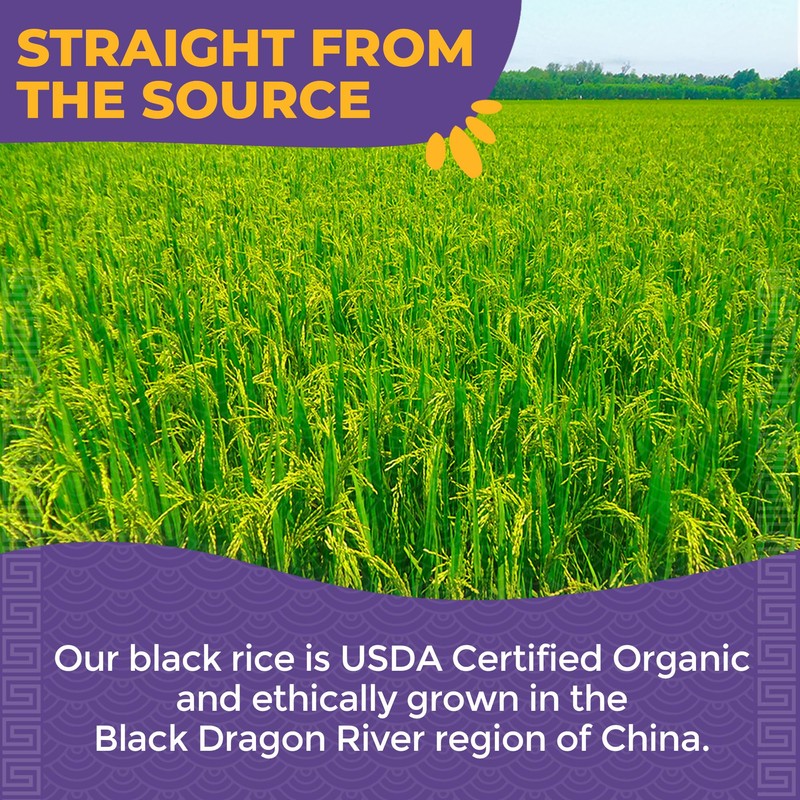 Lotus Foods Organic Forbidden Rice - Black Rice Organic, Purple
