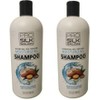 Salon Pro Lot Of 2 Pro Silk Salon Shampoo Moroccan