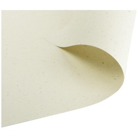 Clairefontaine 55010C Pack of 50 Sheets of Pollen Writing Paper, 100% Recycled Paper, DIN A4, 21 x 29.7 cm, 120 g, Ideal for Invitations and Correspondence, Natura White, 1 Pack