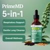 5-in-1 Mullein Drops for Lungs and Bronchial - Respiratory Lung