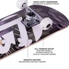 Cal 7 Complete Standard Skateboard 7.5-8-Inch Deck (8" Cabana)