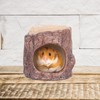 YARDWE Summer Squirrel Nest Ceramic Hamster Hideout Hamster House Chinchilla