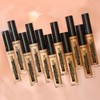 Catrice Liquid Camouflage High Coverage Concealer, No. 060, Nude, Long-Lasting,