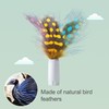 ORSDA 6Pcs Interchangeable Attachments Cat Feather Toys Replaceable Feathers and