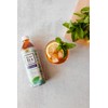 Teas' Tea Unsweetened Mint Green Tea 16.9 Fl Oz (Pack